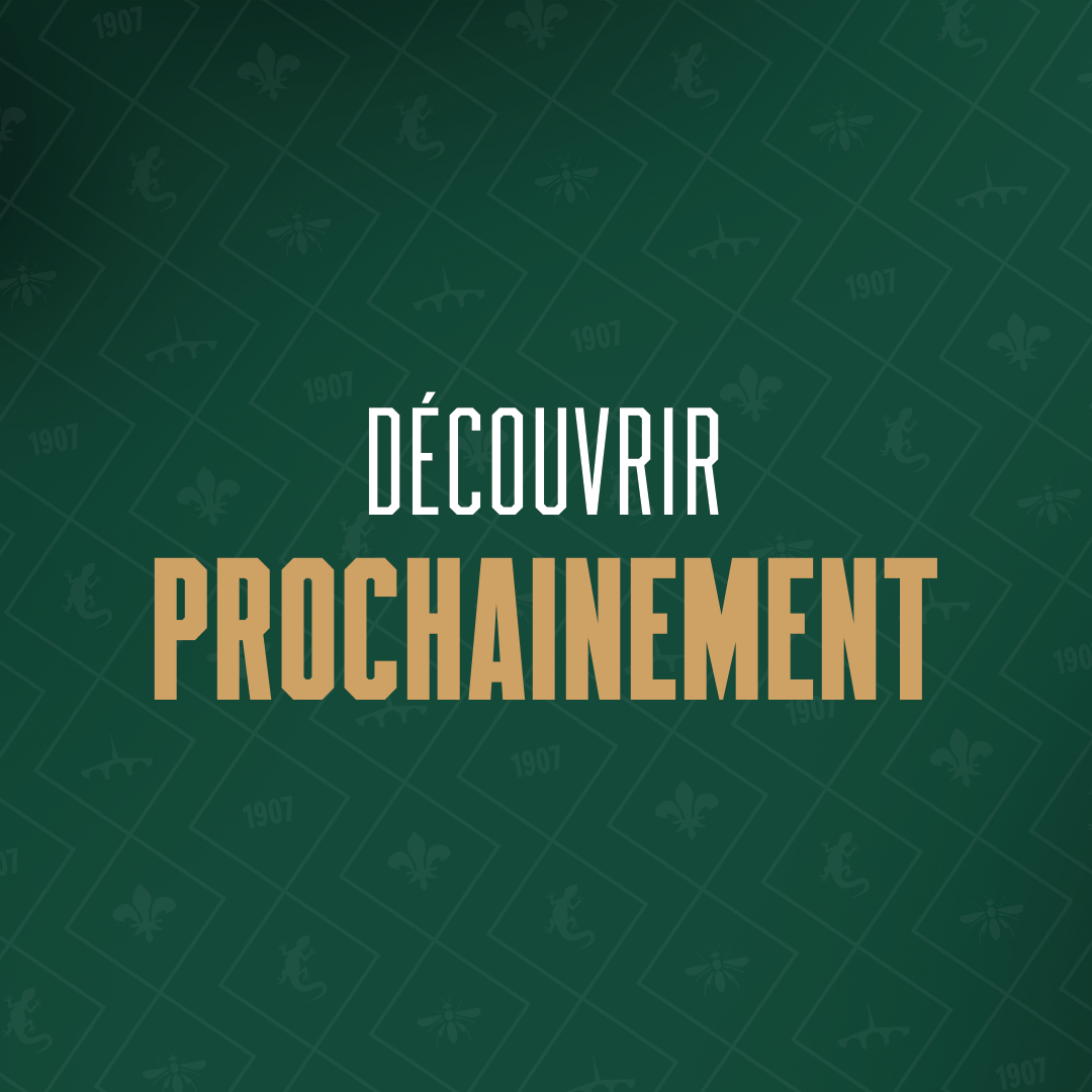ADA Blois Basket - Tenue domicile